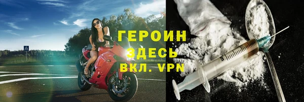 сатива Ельня
