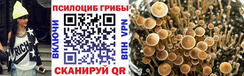 Галлюциногенные грибы GOLDEN TEACHER  магазин    Почеп 